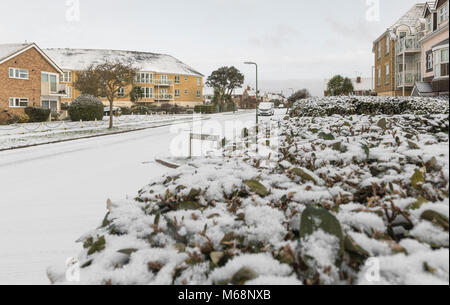 Bush covered with snow in a residential street with snow covering a deserted road in Winter in West Sussex, England, UK. Stock Photo