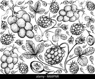 Berry Fruit, Illustration Hand Drawn Sketch of Fresh Arctic Bramble, Arctic Raspberry or Rubus Arcticus Fruits and Red Grapes Isolated on White Backgr Stock Vector