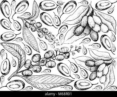 Berry Fruit, Illustration Wallpaper Background of Hand Drawn Sketch of American Pokeweed or Simply Pokeweed and Jambolan, Java Plum, Black Plum Fruits Stock Vector