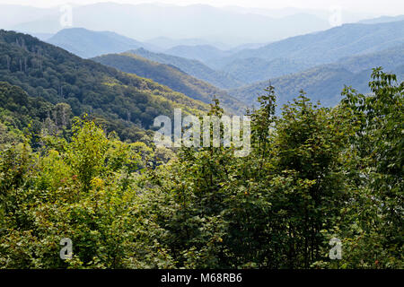 Vista of forest in mountains and valleys from Blue Ridge Parkway in North Carolina, USA Stock Photo