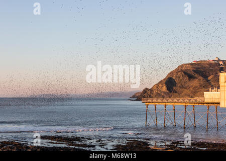 Starling murmurations at Aberystwyth Stock Photo