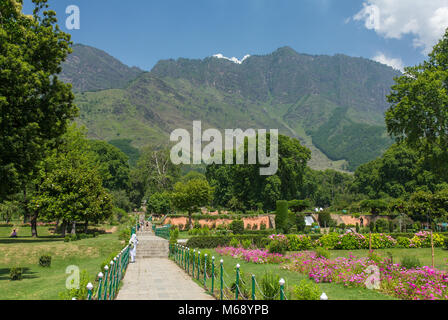 Srinagar, India - June 14, 2017: Mughal garden in Srinagar, India Stock Photo