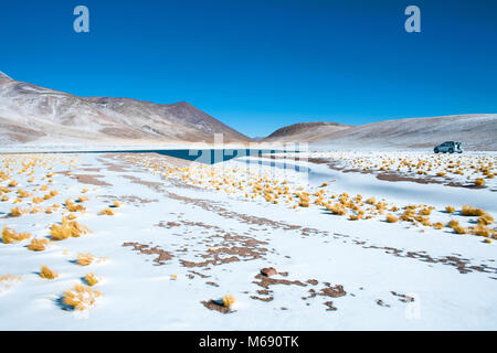 Miniques Lagoon in the Altiplano (High Andean Plateau) at an altitude of 4350m, Los Flamencos National Reserve, Atacama desert, Antofagasta Region, Ch Stock Photo