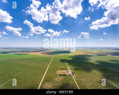 Red vineyard plantation viewed from above aerial view Stock Photo