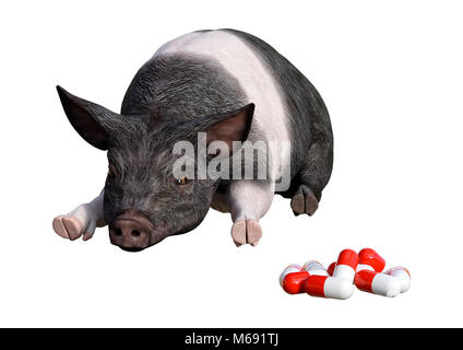 3D rendering of a dark pig looking at pills isolated on white background Stock Photo