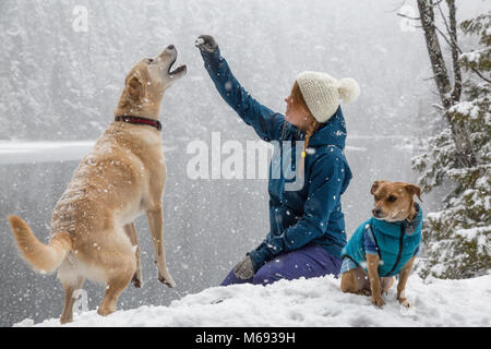 Girl playing with her dog in the snow. Taken near Squamish and Whistler, North of Vancouver, BC Canada. Concept: love, friendship, care Stock Photo