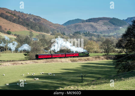 Steam trains  in Llangollen  a small town and community in Denbighshire, north-east Wales, situated on the River Dee and on the edge of the Berwyn mou Stock Photo