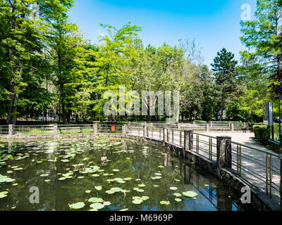 Lacul cu Nuferi (Waterlilies Lake), Felix Baths - Baile Felix, Bihor, Romania Stock Photo