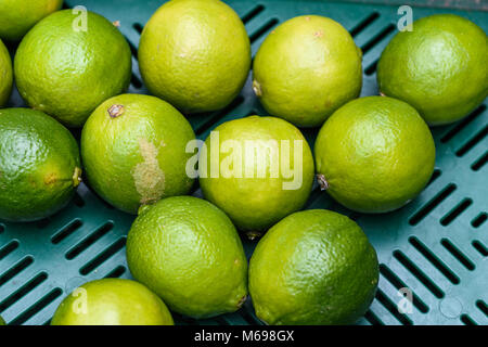 Group of limes on green plastic Stock Photo