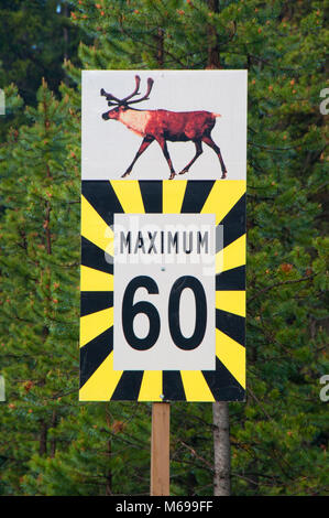 Caribou crossing sign, Jasper National Park, Alberta, Canada Stock Photo