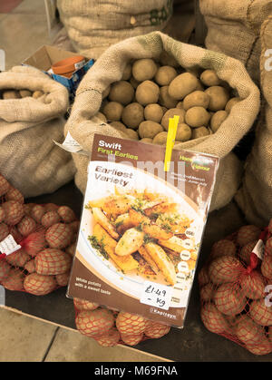 Swift a First Early seed potato for sale by self-sellection in an English garden centre in February Stock Photo