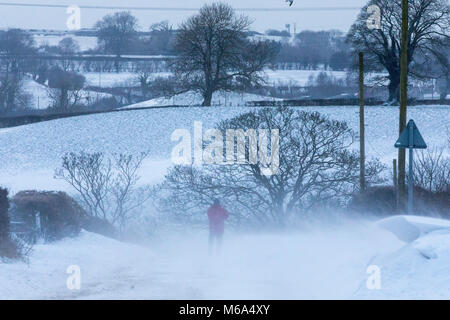 A person walking along a rural lane in the village of Lixwm during heavy blowing snow and a freezing temperatures from Storm Emma and the Beast from the East weather front from Scandanavia, Flintshire, Wales Stock Photo