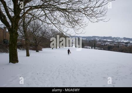 Cardiff, Wales, UK, March 2nd 2018. A woman walks her dog as widespread snow hits Britain with Storm Emma colliding with The 'Beast From The East'. Credit: Mark Hawkins/Alamy Live News Stock Photo