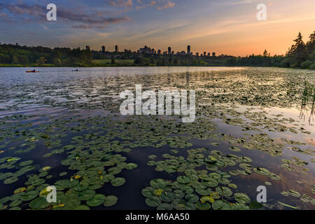 A view of the clear water of the lake, covered with green leaves of water lilies, floating boats, kayaks, a forest in the background and buildings of  Stock Photo