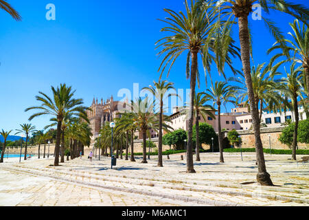 Palma de Mallorca, Spain. Central park with palm trees in the summer Stock Photo