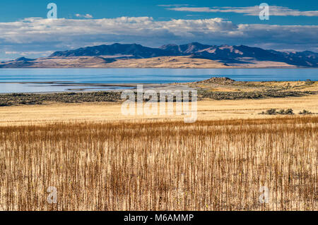 Fremont Island seen across Bridger Bay, Great Salt Lake, from Antelope Island State Park, Utah, USA Stock Photo