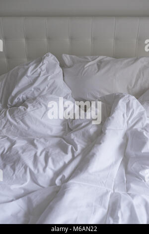 Unmade bed with plain white bed linen in a close up view of a rumpled duvet, pillows and a padded headboard Stock Photo