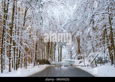 Country road through snowy forest, near Dietramszell, Upper Bavaria, Bavaria, Germany Stock Photo