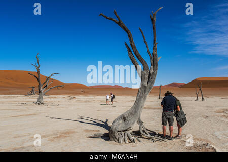 Tourists with dead camel thorns (Acacia erioloba) in front of sand dunes, Dead Vlei, Sossusvlei, Namib Desert Stock Photo