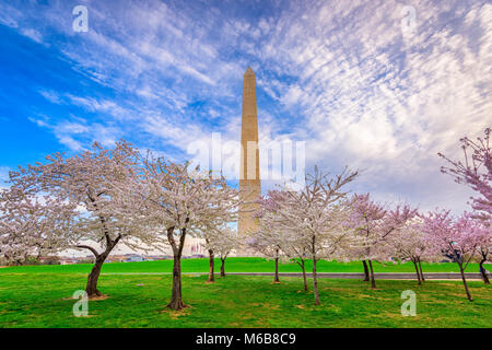 Washington DC, USA in spring season. Stock Photo