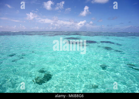 Tropical caribbean sea, clear turquoise water & beautiful blue sky, Montego Bay, Jamaica. Stock Photo