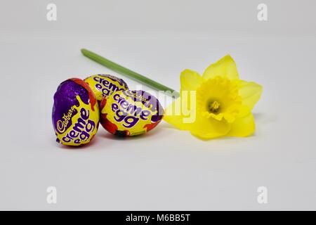 Cadburys Creme Eggs and a Daffodil (Narcissus poeticus)  the symbols of easter on a white background Stock Photo