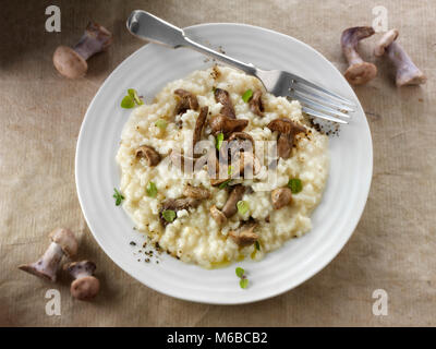 Sauteed wiild organic Pied Bleu Mushrooms (Clitocybe nuda) or Blue Foot mushrooms cooked in butter and herbs Risotto Stock Photo
