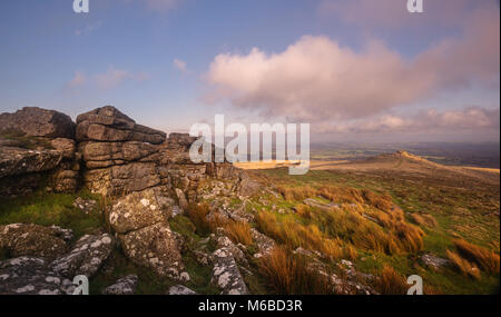 Looking at Belstone Tor from Higher Tor at sunrise Dartmoor National Park Stock Photo