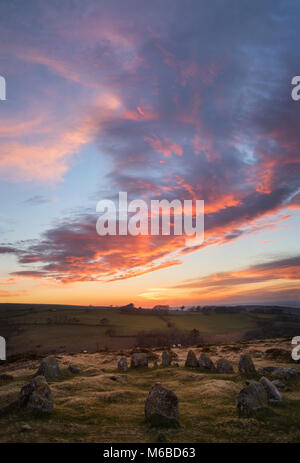 Nine Stones or Nine Maidens stone circle at Belstone Dartmoor National Park Stock Photo