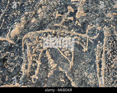 Prehistoric Saharan petroglyph rock art carvings of cattle with a man riding on its back from a site 20km east of Taouz, South Eastern Morocco Stock Photo
