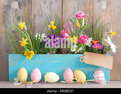 Spring flowers in a wooden pot with row of easter eggs and blank label Stock Photo