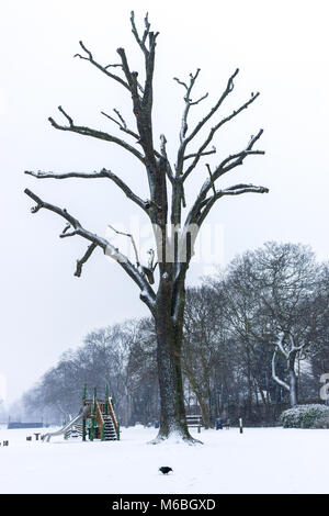 A crow sits by the bottom of a dead tree on a snowy day in Ladywell Fields, London Stock Photo