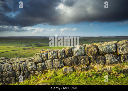 A stretch of Hadrian's Wall known as Thorny Doors near Caw Gap in the Northumberland National Park, England Stock Photo