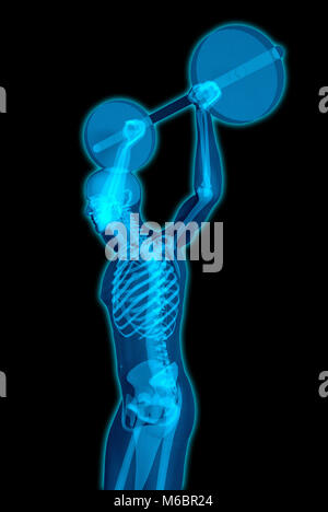 Very detailed and medically accurate 3D Illustration of a translucent man lifting weights Stock Photo