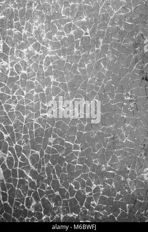 Shattered glass pane in black and white, covered in small cracks. Reinforced glass that is  completely shattered, naturally abstract cracking, chips. Stock Photo