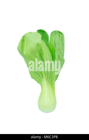 Bok choy (chinese cabbage) isolated on white Stock Photo