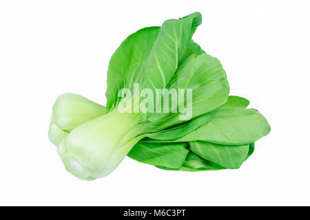 Bok choy (chinese cabbage) isolated on white Stock Photo