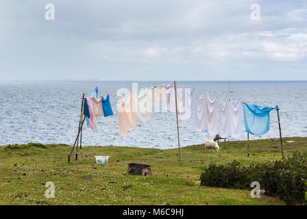 Left out to blow, drying the laundry amongst the sheep, Highland style. 11 June 2009. Stock Photo