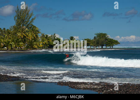 Surfing, Beach of Teahupoo, Tahiti, French Polynesia Stock Photo