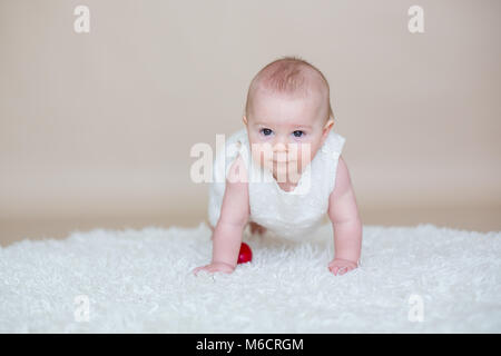 Cute little toddler baby boy, playing with colorful easter eggs and little decorative ducks, isolated shot, beige background Stock Photo