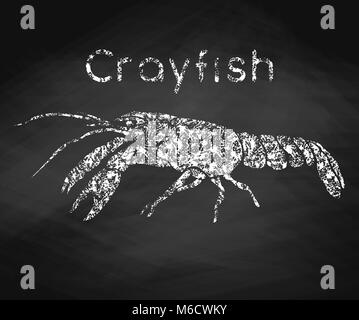 Crayfish drawn in chalk on a chalkboard. Vector illustration. Stock Vector