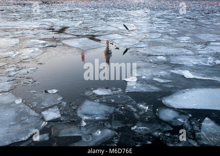 A reflection of Fernsehturm (television tower) in the frozen river Spree in Berlin, Germany on 2 March 2018. Reflection of birds are also seen in the photo. River Spree in Berlin has frozen after many years in Germany. Stock Photo