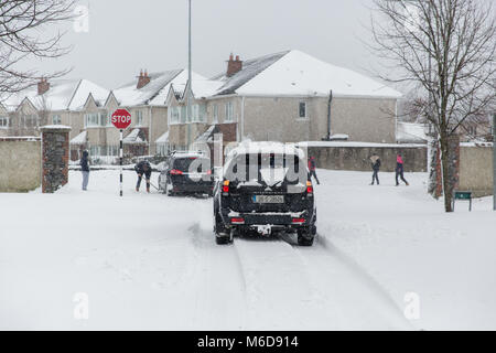 Celbridge, Kildare, Ireland. 02 Mar 2018: Ireland weather. Storm Emma brought snow and high winds across Ireland overnight with further heavy falls of snow during the day. Met Éireann has extended the Red Alert until Saturday. Stock Photo