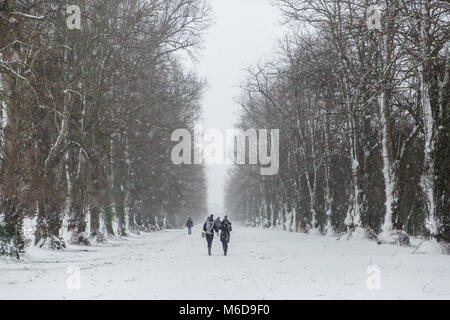Celbridge, Kildare, Ireland. 02 Mar 2018: In the aftermath of Storm Emma with the wind easing off people are out walking through the beautiful white avenue in the Castletown Park in Celbridge. Stock Photo