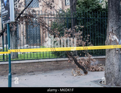 Rome, Italy. 02nd Mar, 2018. Strong gusts of wind in Rome have caused various inconveniences and the fall of some branches of trees. In Piazza della Repubblica a branch fell, causing the injury of a person waiting for the bus at the bus stop. (in the picture is taken away by an ambulance) Credit: Patrizia Cortellessa/Pacific Press/Alamy Live News Stock Photo