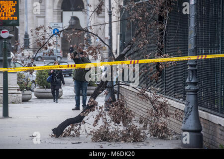 Rome, Italy. 02nd Mar, 2018. Strong gusts of wind in Rome have caused various inconveniences and the fall of some branches of trees. In Piazza della Repubblica a branch fell, causing the injury of a person waiting for the bus at the bus stop. (in the picture is taken away by an ambulance) Credit: Patrizia Cortellessa/Pacific Press/Alamy Live News Stock Photo