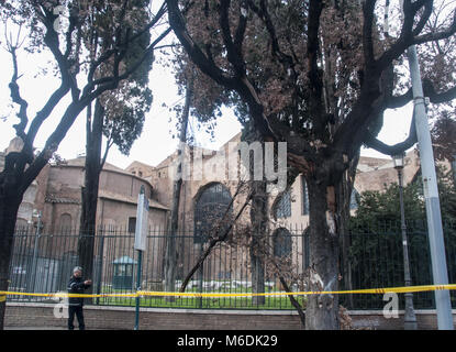 Rome, Italy. 02nd Mar, 2018. Strong gusts of wind in Rome have caused various inconveniences and the fall of some branches of trees. In Piazza della Repubblica a branch fell, causing the injury of a person waiting for the bus at the bus stop. (in the picture is taken away by an ambulance) Credit: Patrizia Cortellessa/Pacific Press/Alamy Live News Stock Photo