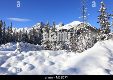 Winter landscape in Canada Stock Photo