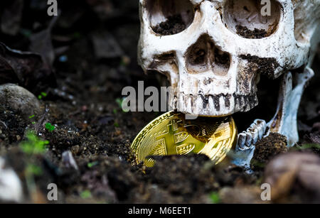 Close up of Skull biting bitcoin on the ground Leaves dry on the ground and the side of the skull and Golden bitcoin. The concept of investment and fl Stock Photo