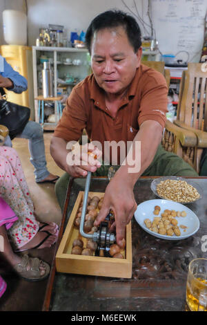 Pyin Oo Lwin, Myanmar - November 18 2014. Owner of coffee plantation cracking macadamia nuts Stock Photo